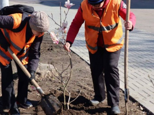 У ДніпрОДА планують цьогоріч озеленити Кривий Ріг