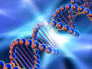 В Україні створять ДНК-базу - ВРУ підтримала відповідний законопроєкт