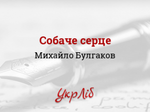 Зображення із мережі Інтернет