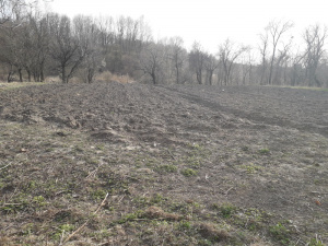 Фото із мережі Інтернет