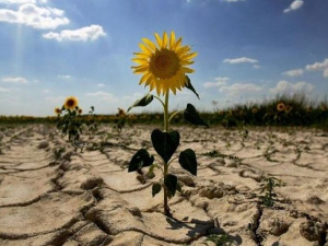 Фото із мережі Інтернет