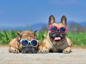 Фото з відкритих джерел