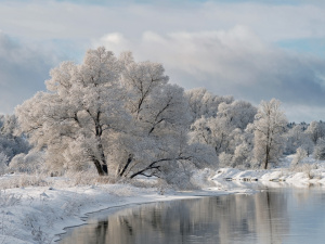 Фото ілюстративне з відкритих джерел     