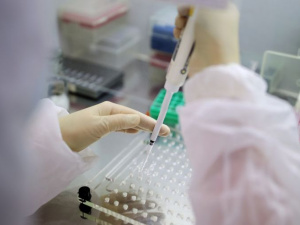 Фото из сети Интернет