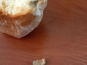 Фото читателя