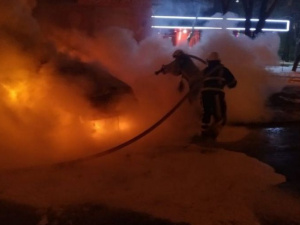 Фото пресс-службы ГСЧС Днепропетровской области