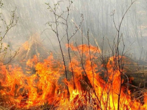 Фото із мережі Інтернет