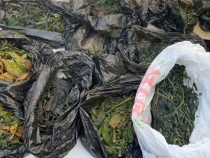 Фото пресс-службы Криворожского районного отдела полиции