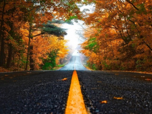 Фото з відкритих джерел