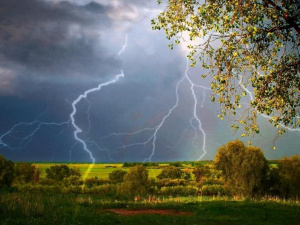 Прогноз на Петрів тиждень - фото ілюстративне з відкритих джерел 