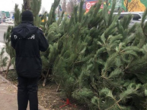 Фото пресс-службы Криворожского отдела полиции