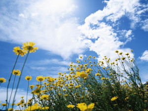 Фото з відкритих джерел    