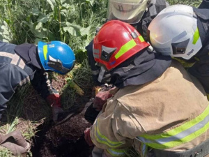 Фото пресс-службы ГСЧС Днепропетровской области