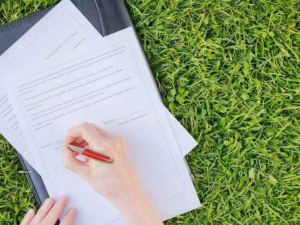 Фото із мережі Інтернет