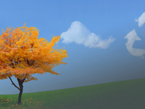 Фото пресслужби Дніпропетровської ОВА