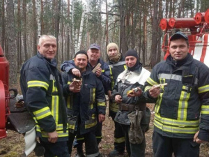 Фото ГСЧС Украины в Кривом Роге