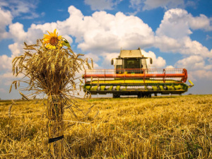 Фото: Дніпропетровська ОВА