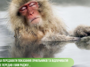 Зображення редакції krivbass.city