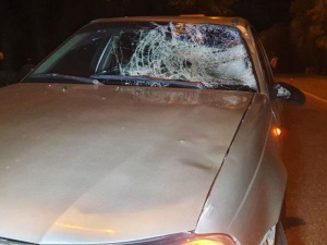 Фото Олега Ермолинского