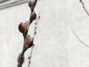 Фото редакції krivbass.city 