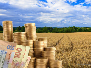 Фото з відкритих джерел