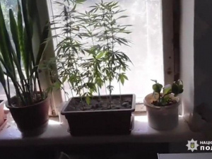 Фото пресс-службы Криворожского отдела полиции