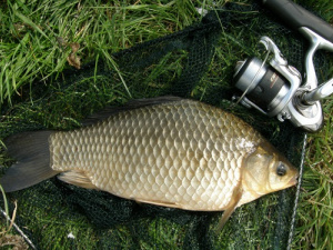 Фото із мережі Інтернет