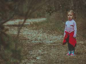 Фото із мережі Інтернет