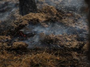 Пожежі на Дніпропетровщині, фото пресслужби Дніпропетровської ОВА
