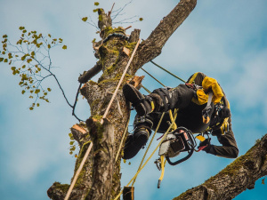 Фото із мережі Інтернет