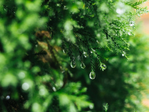 Зображення від rawpixel.com на Freepik