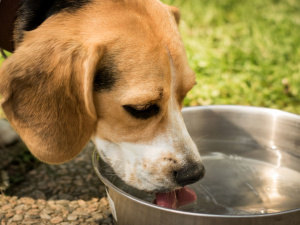 Фото з відкритих джерел