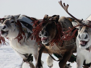 Зображення редакції krivbass.city