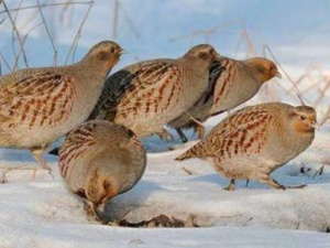 Фото Дніпропетровської ОДА