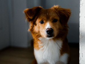 Фото: Depositphotos