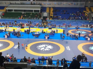 Криворізька спортсменка виборола золото на чемпіонаті України з вільної боротьби