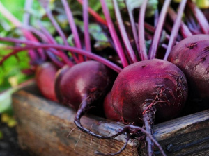 Фото з відкритих джерел