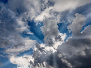 Весняні контрасти - фото з відкритих джерел