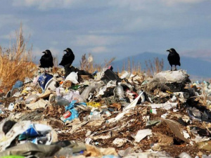 Фото із мережі Інтернет