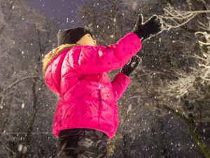 З наступного тижня для більшості школярів Дніпропетровщини розпочнуться зимові канікули