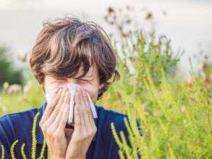Фото з відкритих джерел