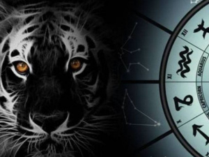 Що повинно бути на столі у рік Тигра 2022 – топ порад