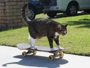 Фото з відкритих джерел