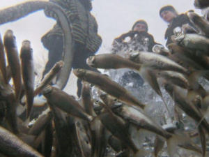 Фото із мережі Інтернет