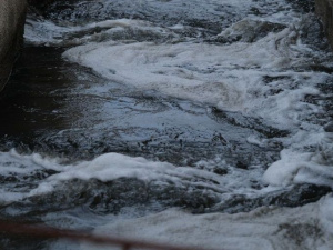 Фото редакції krivbass.city