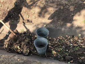 Фото из сети Интернет