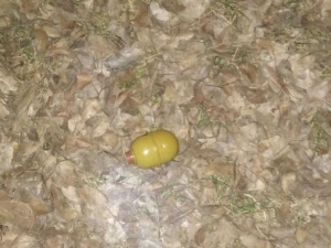 Фото пресс-службы полиции Днепропетровской области