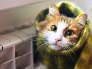 Немає опалення, фото з відкритих джерел 