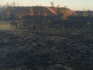 Фото из соцсетей