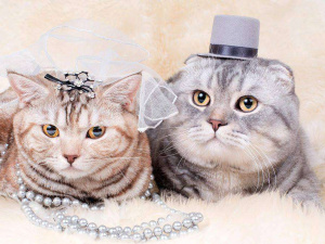 Як повертати людей, котрі виїхали через війну?Питання демографії та економіки - Микола Лукашук